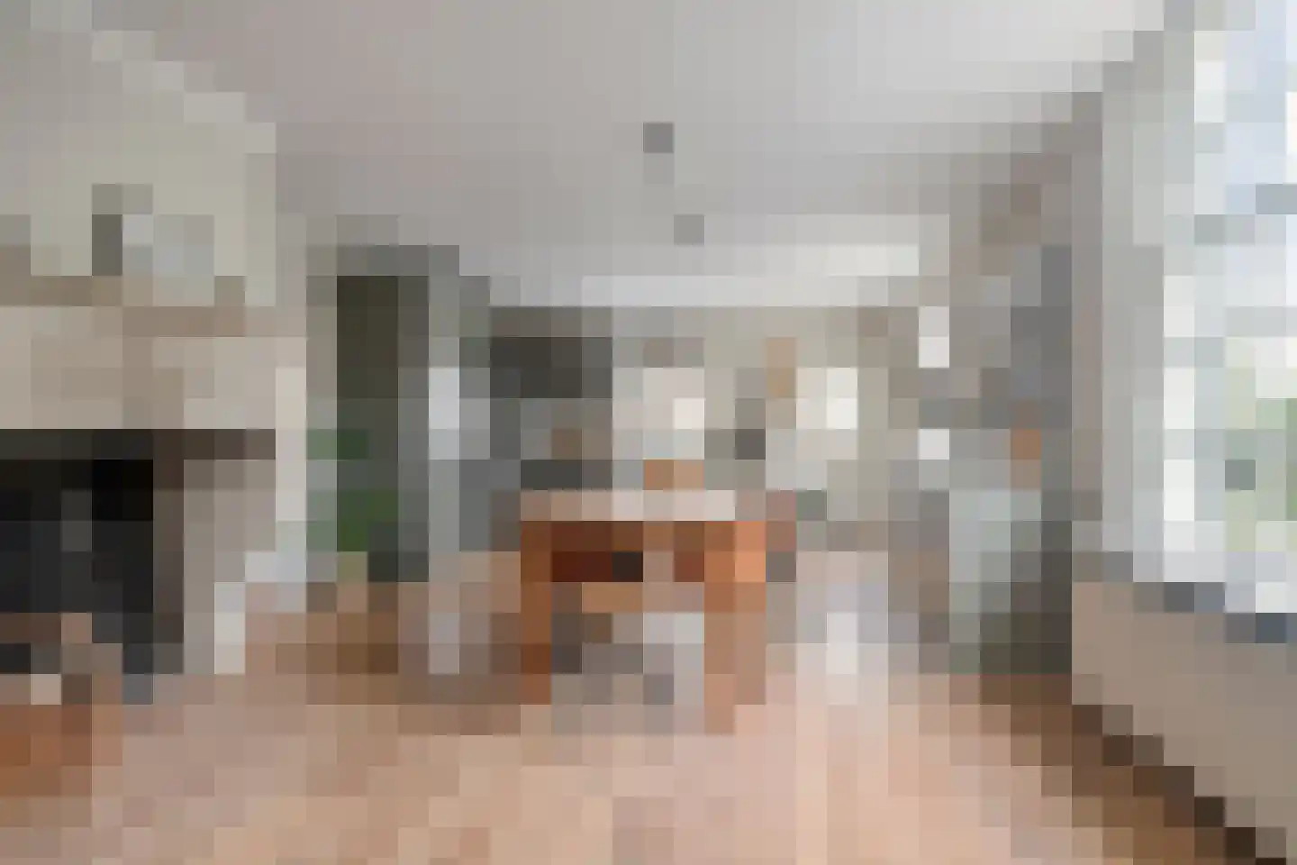 Dorpstraat 14 Linschoten thumbnail 4