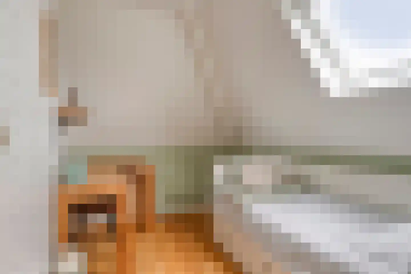 Dorpstraat 14 Linschoten thumbnail 41