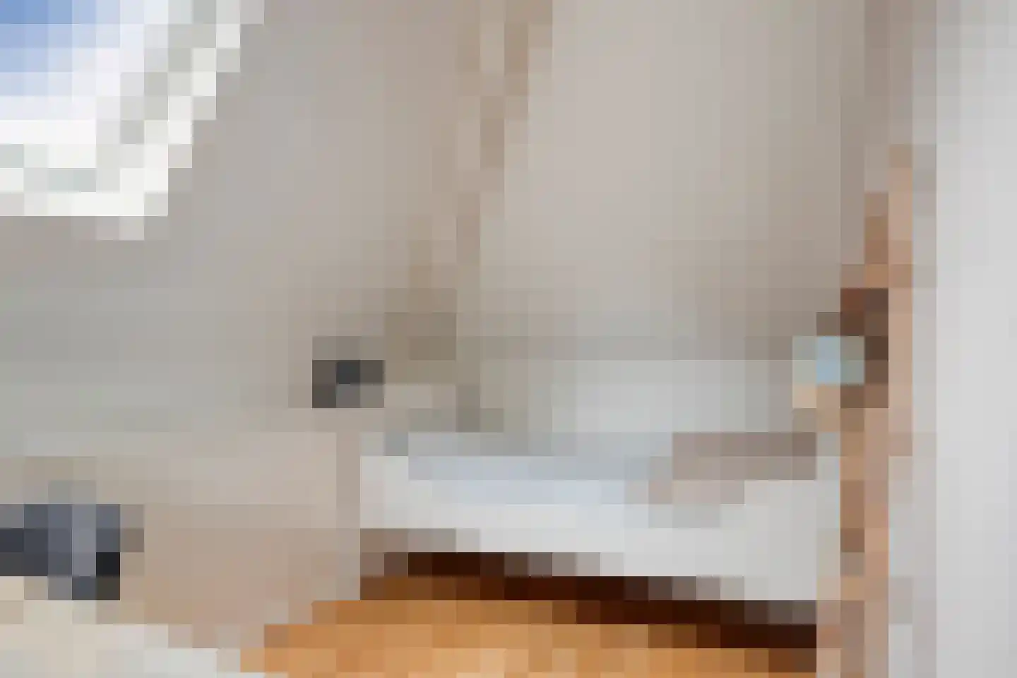 Dorpstraat 14 Linschoten thumbnail 43