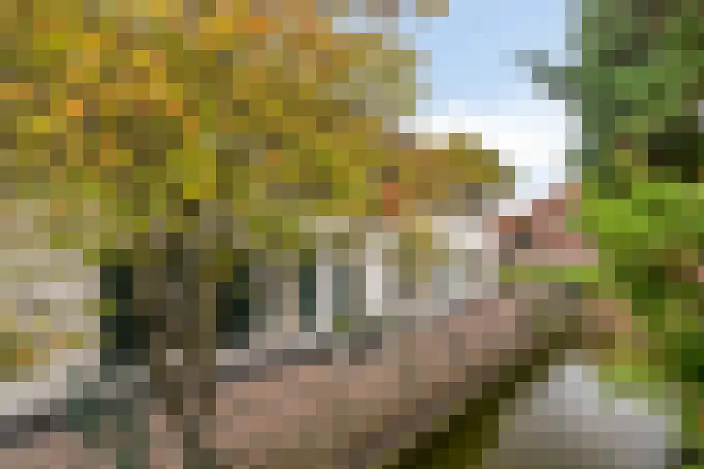 Dorpstraat 14 Linschoten thumbnail 7