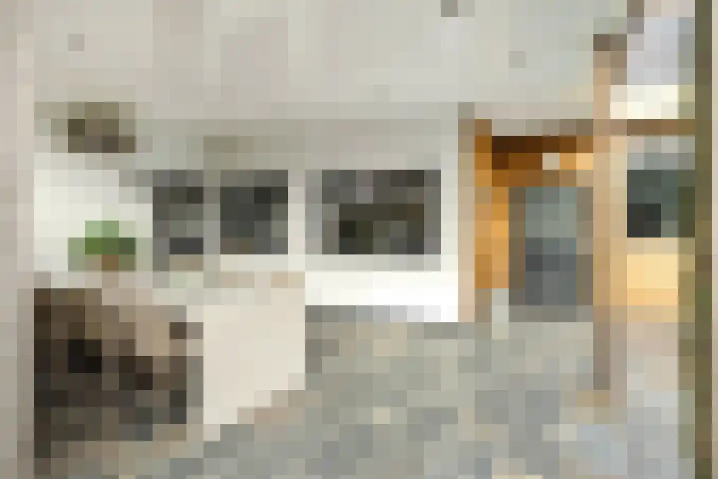 Dorpstraat 14 Nuland thumbnail 13