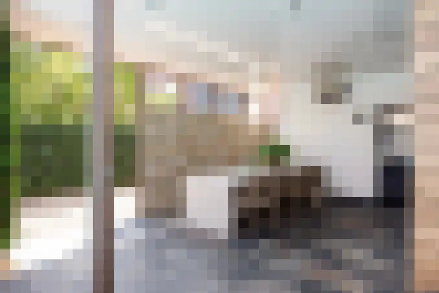 Dorpstraat 14 Nuland thumbnail 14