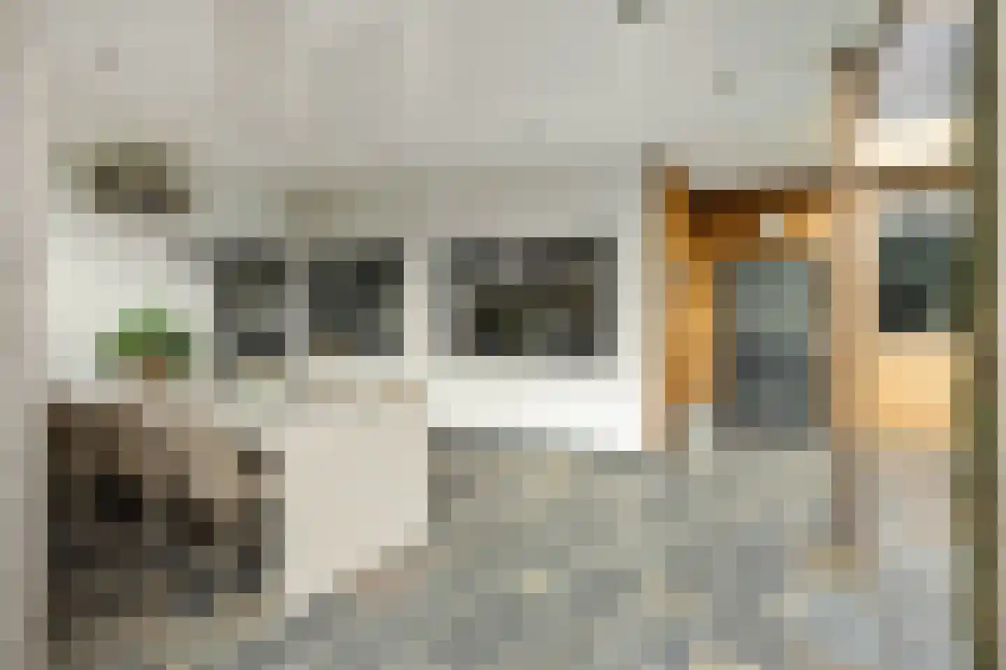 Dorpstraat 14 Nuland thumbnail 15