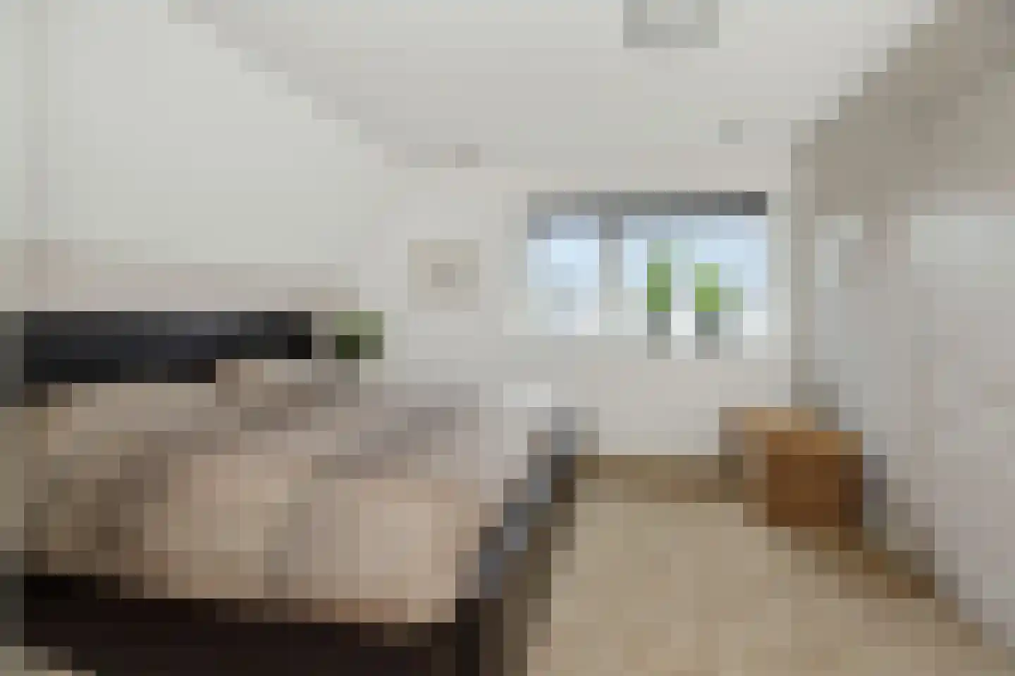 Dorpstraat 14 Nuland thumbnail 34