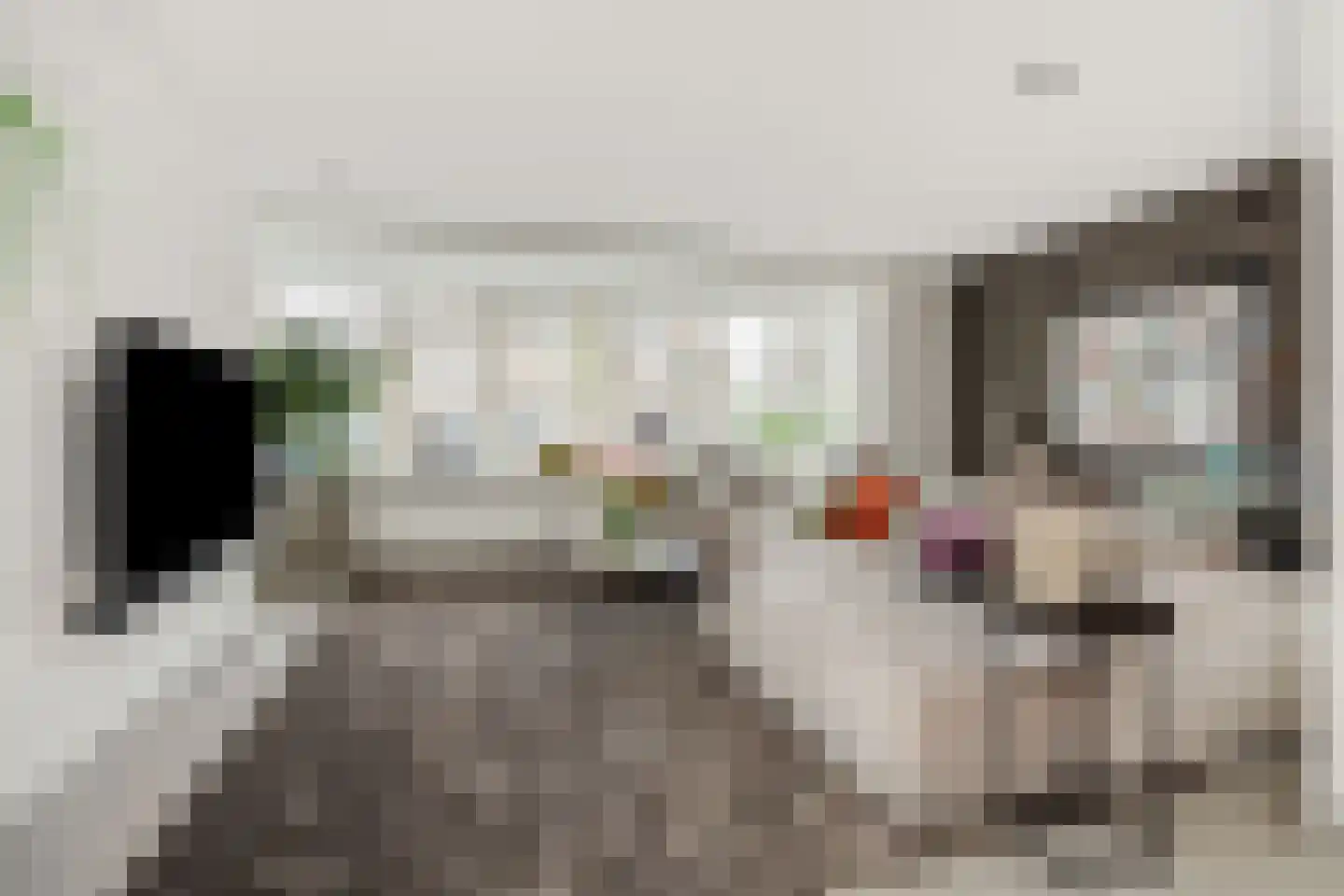 Dorpstraat 14 Nuland thumbnail 6