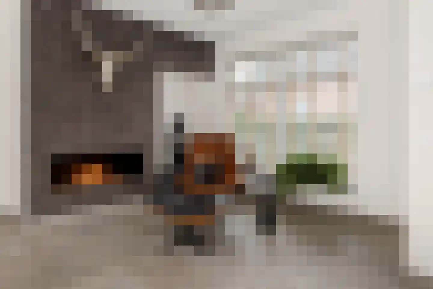 Dorpstraat 14 Nuland thumbnail 8