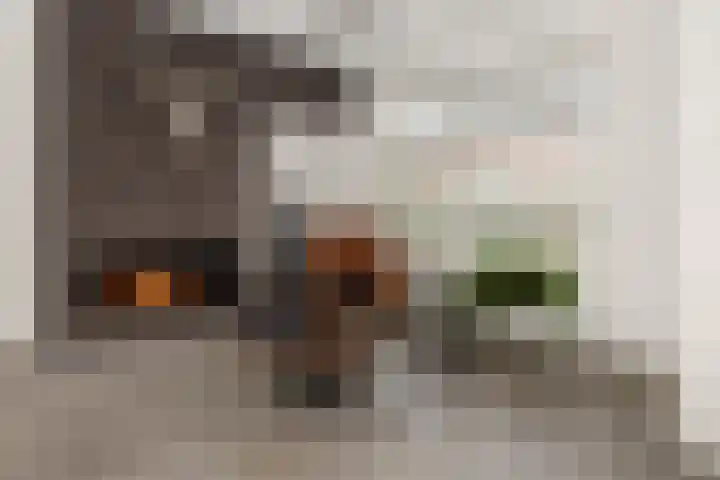 Dorpstraat 14 Nuland thumbnail 8