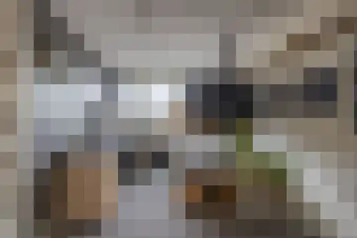 Dorpstraat 14 Waddinxveen thumbnail 20