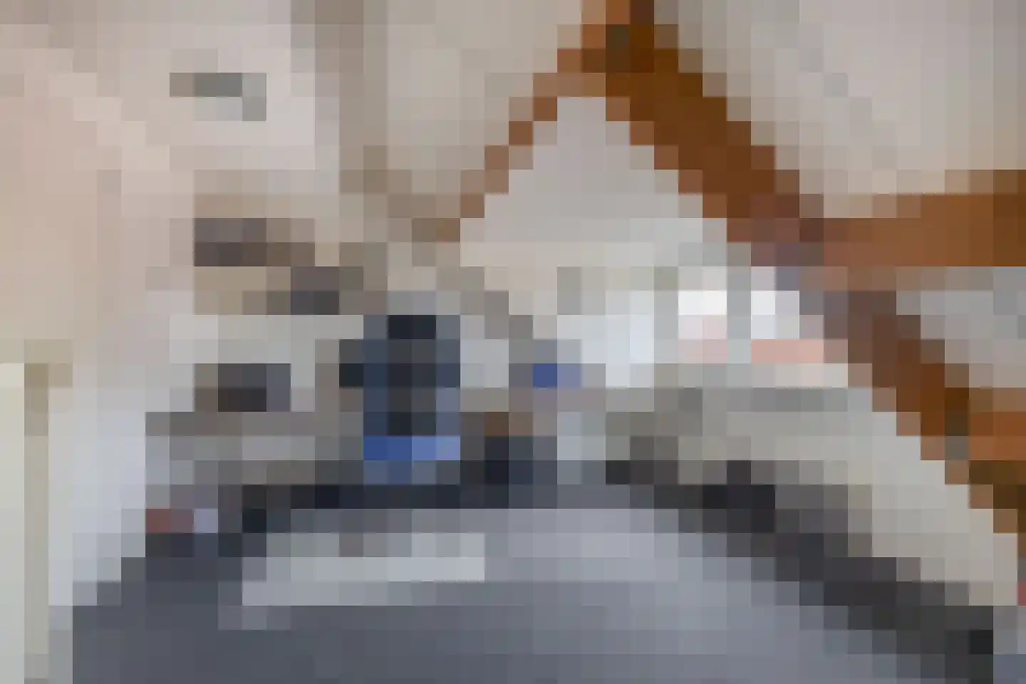 Dorpstraat 14 Waddinxveen thumbnail 25