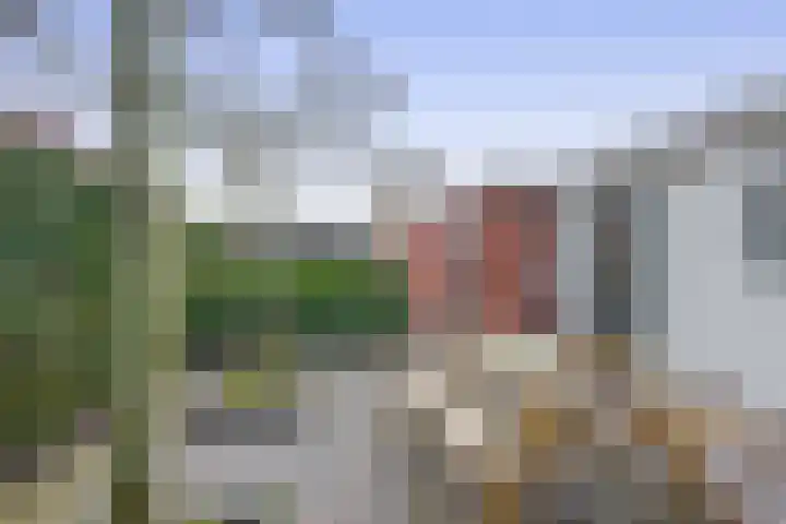 Dorpstraat 14 Waddinxveen thumbnail 30