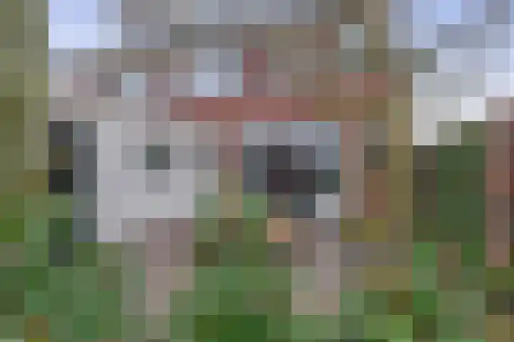 Dorpstraat 14 Waddinxveen thumbnail 31