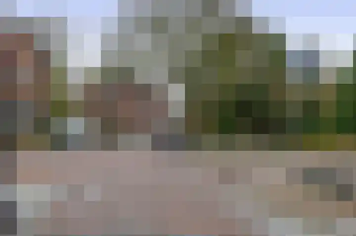Dorpstraat 14 Waddinxveen thumbnail 41