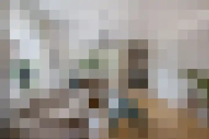 Dorpstraat 14 Waddinxveen thumbnail 6
