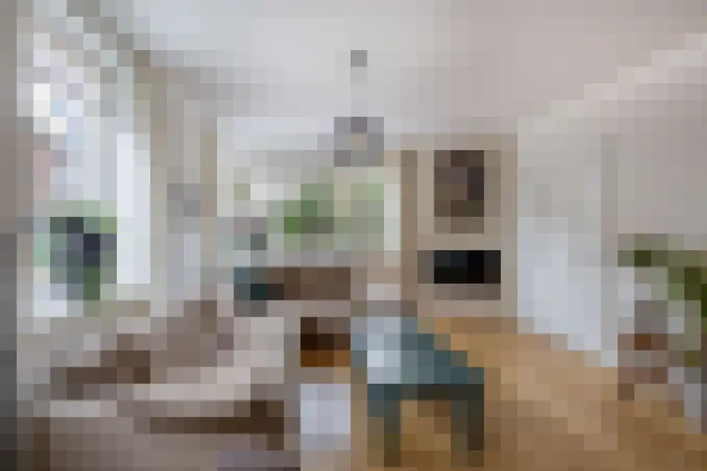 Dorpstraat 14 Waddinxveen thumbnail 6