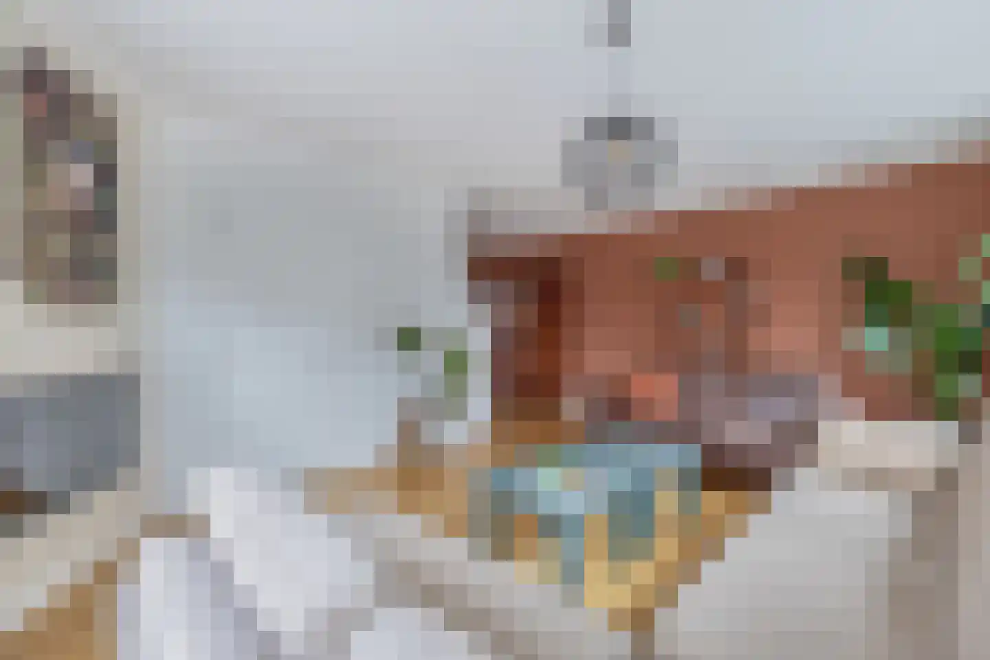 Dorpstraat 14 Waddinxveen thumbnail 7