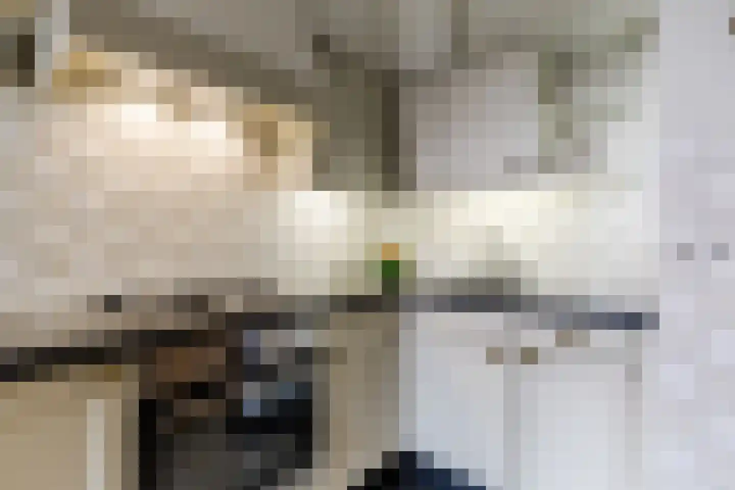 Dorpstraat 142 Veldhoven thumbnail 15