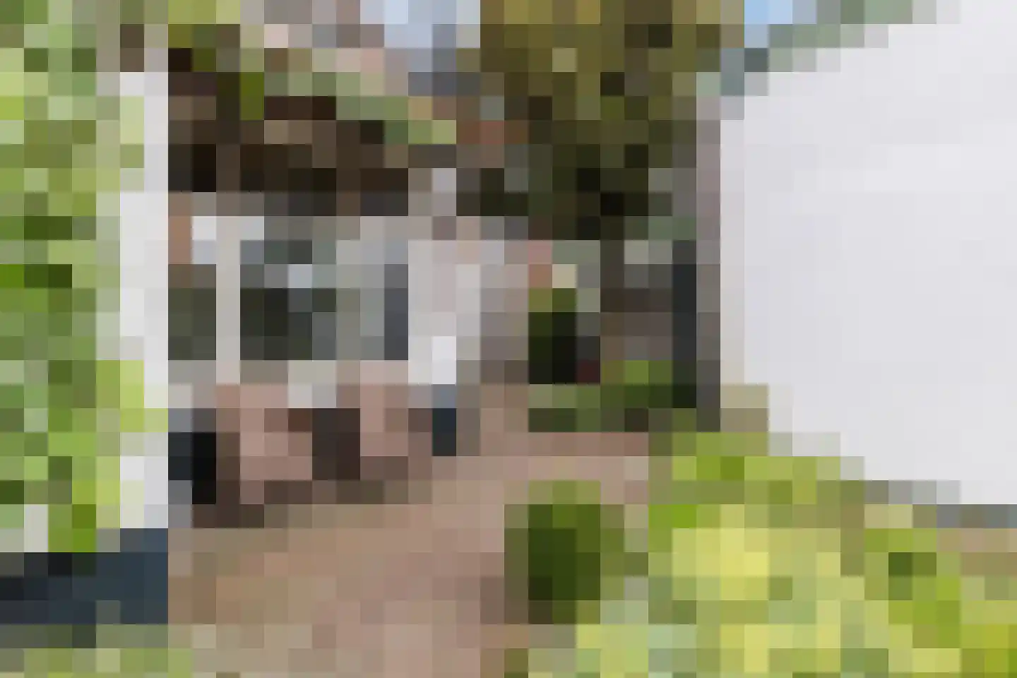 Dorpstraat 142 Veldhoven thumbnail 5