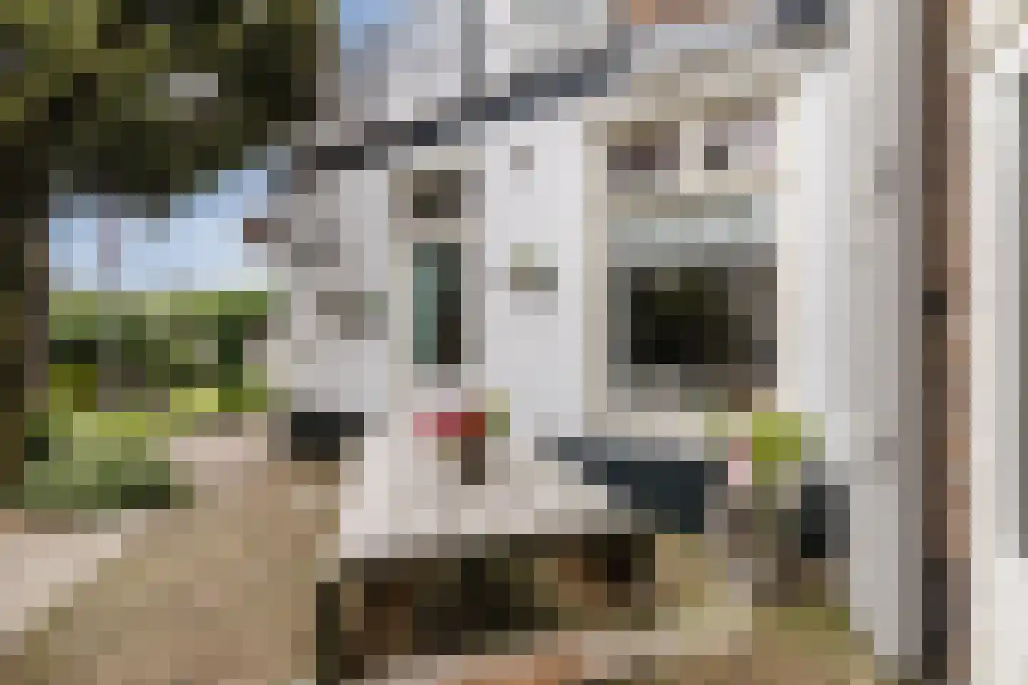 Dorpstraat 142 Veldhoven thumbnail 51