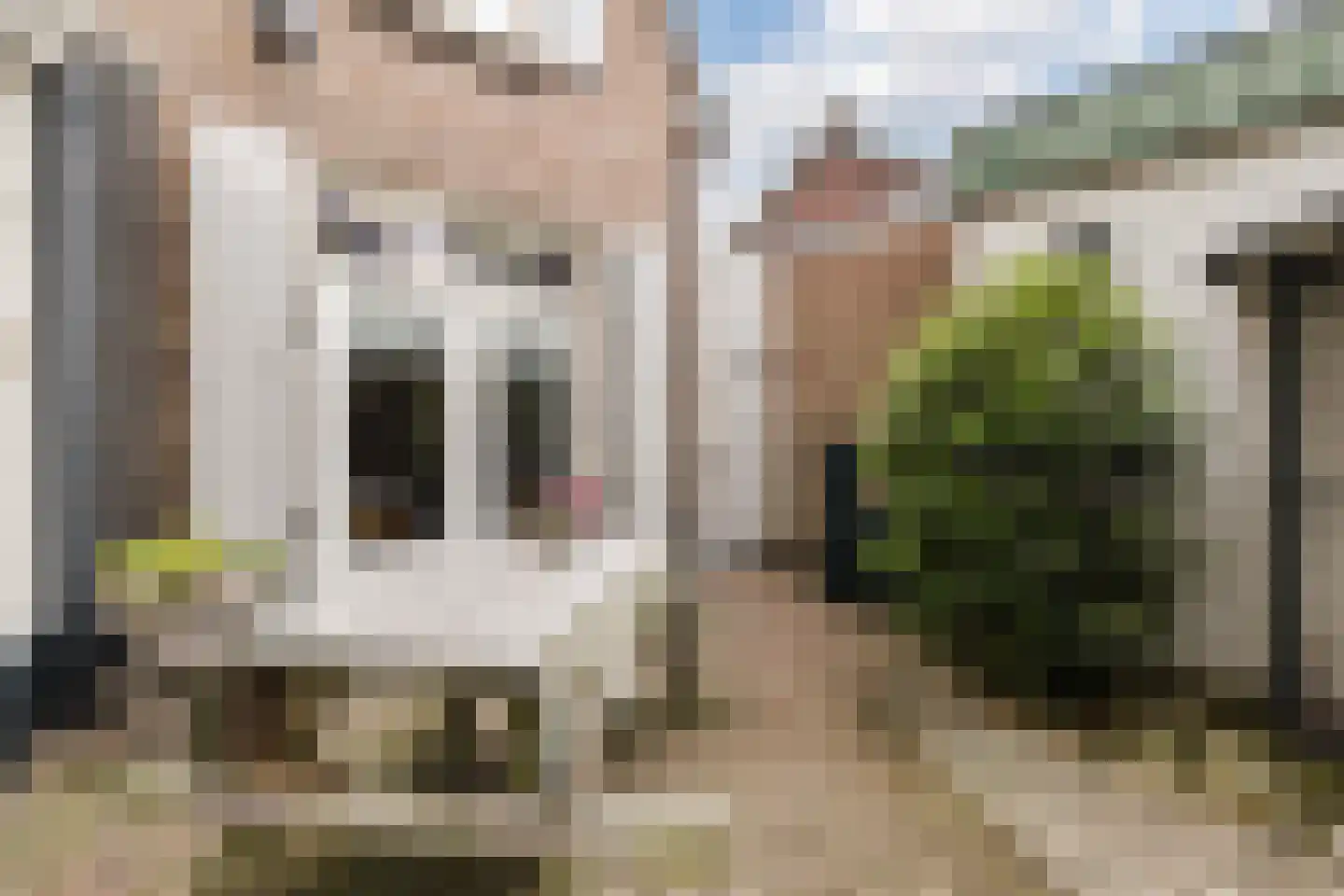 Dorpstraat 142 Veldhoven thumbnail 52