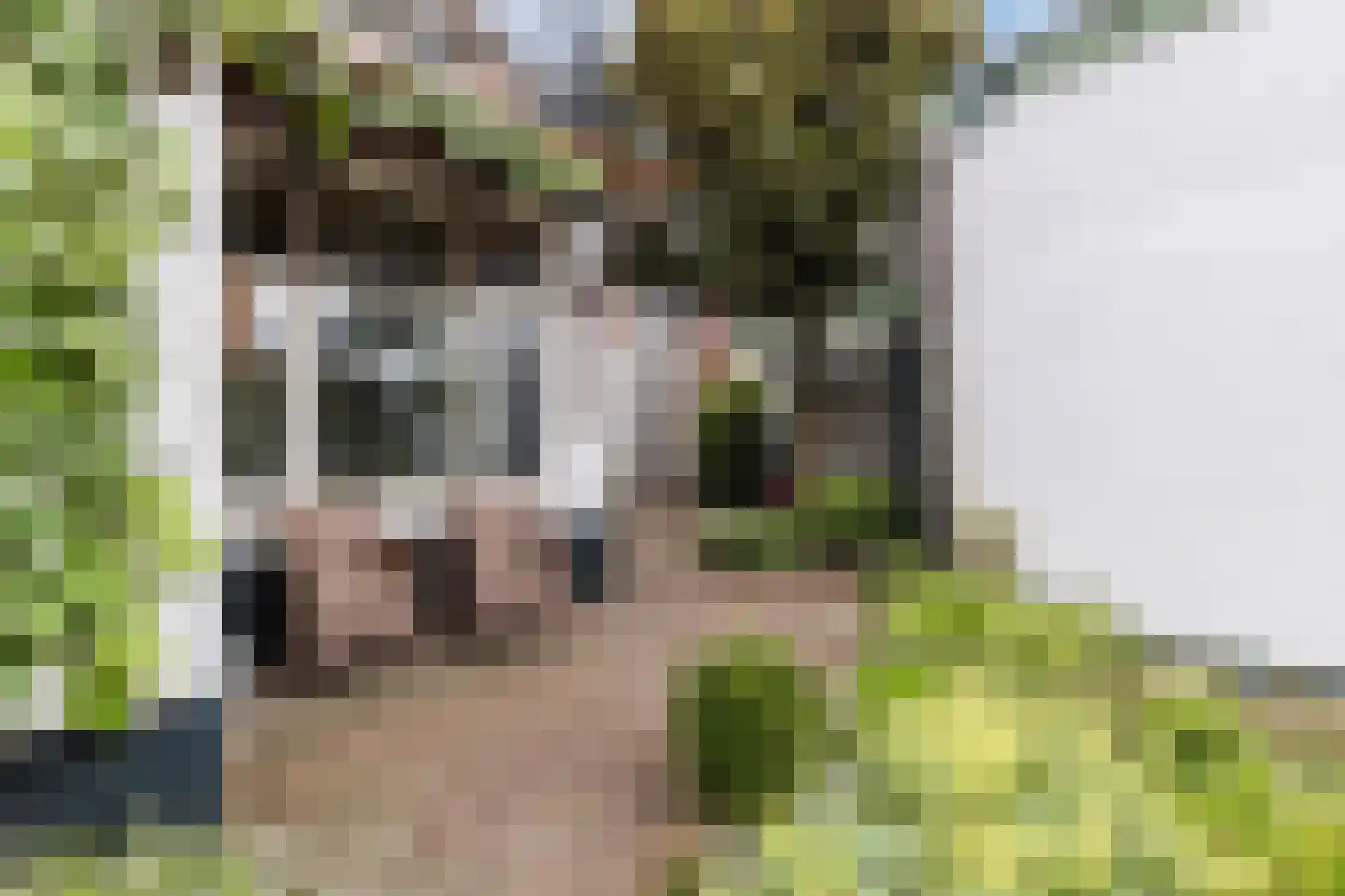 Dorpstraat 142 Veldhoven thumbnail 53
