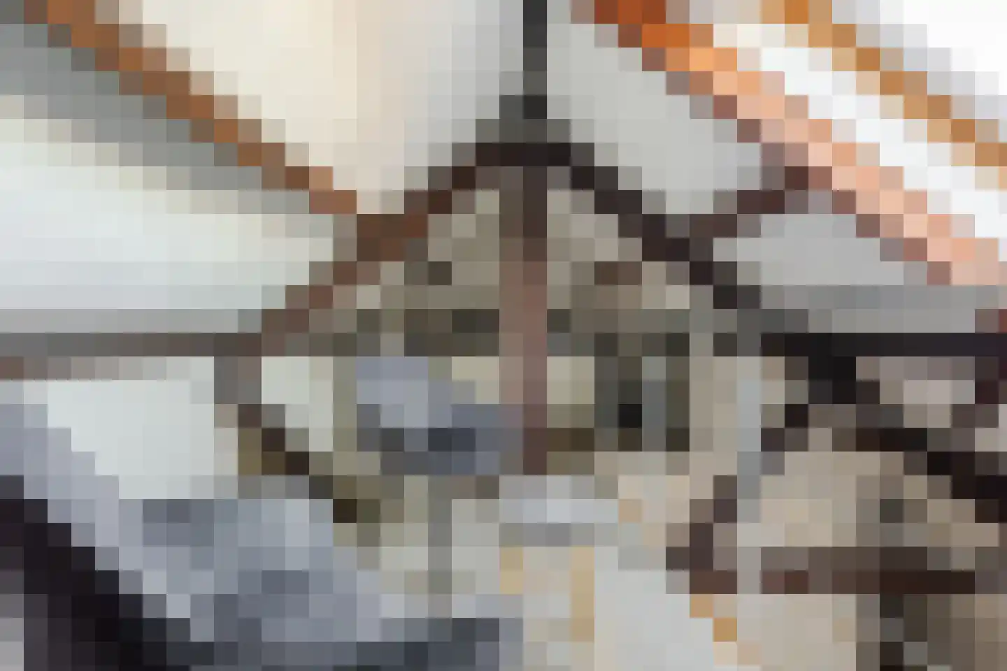 Dorpstraat 152 Veldhoven thumbnail 33
