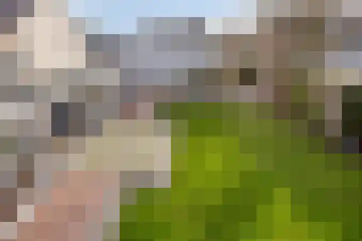 Dorpstraat 161 Veldhoven thumbnail 4