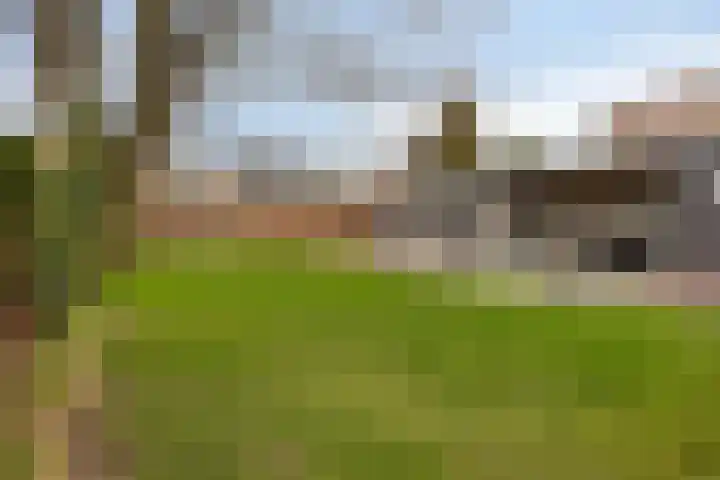 Dorpstraat 161 Veldhoven thumbnail 41