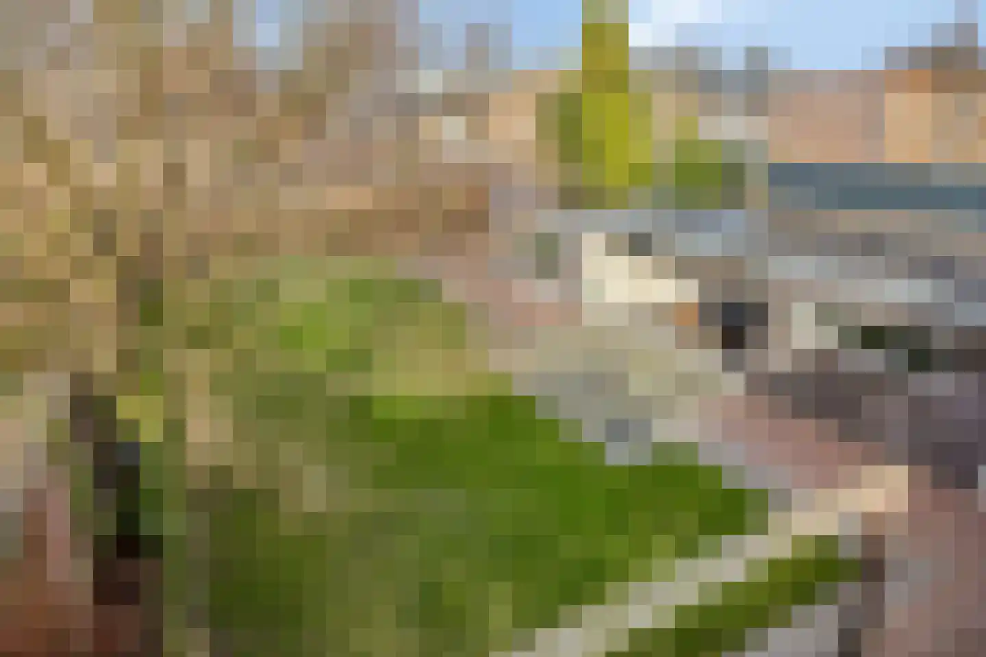 Dorpstraat 161 Veldhoven thumbnail 45