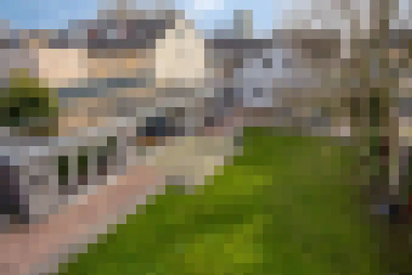 Dorpstraat 161 Veldhoven thumbnail 47