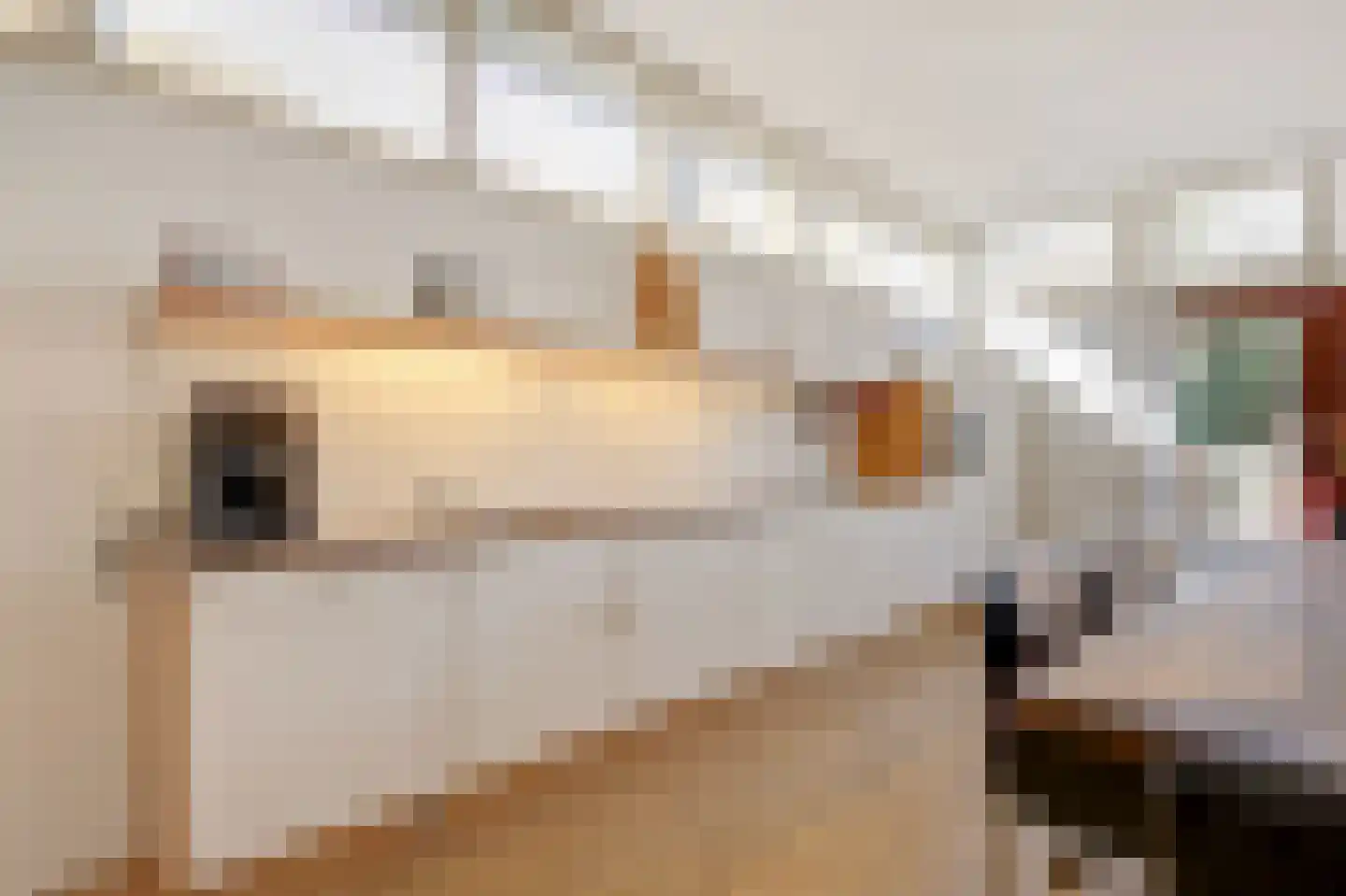 Dorpstraat 17 Heumen thumbnail 10