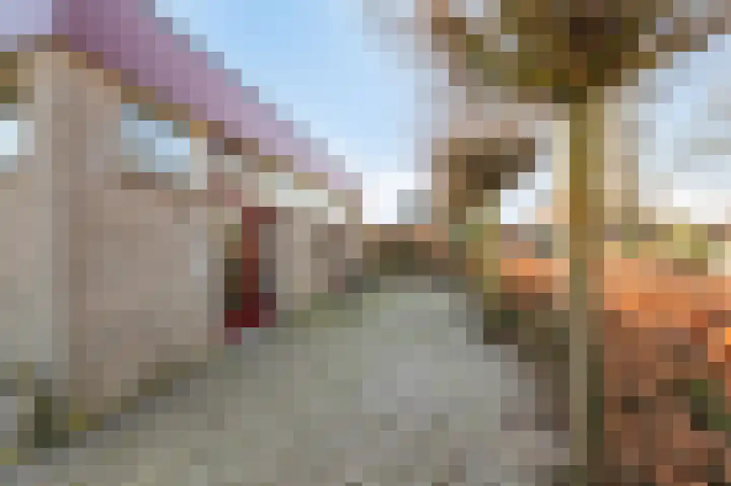 Dorpstraat 17 Heumen thumbnail 36
