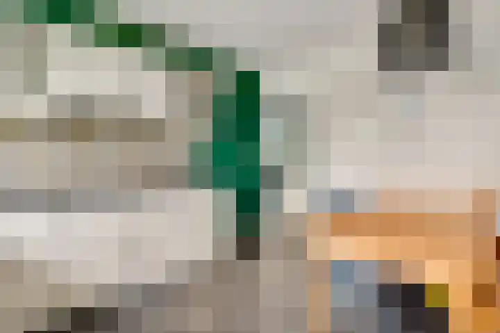 Dorpstraat 18 Baexem thumbnail 12