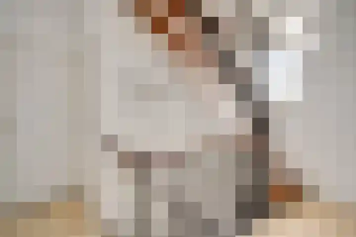 Dorpstraat 18 Baexem thumbnail 29