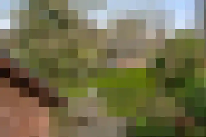 Dorpstraat 18 Baexem thumbnail 33