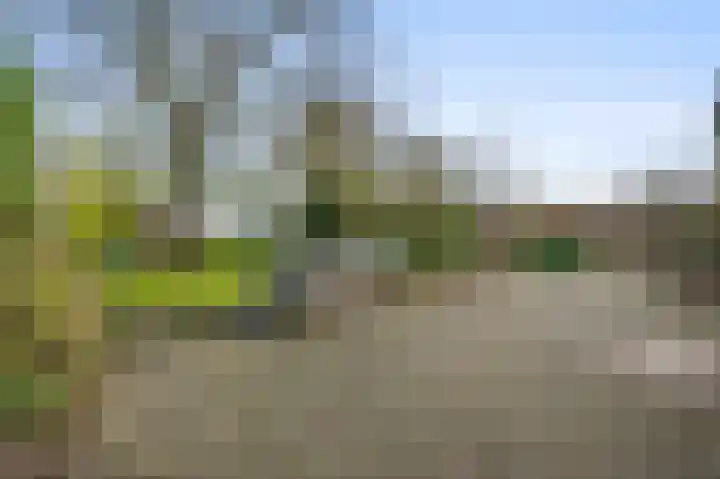 Dorpstraat 18 Baexem thumbnail 36