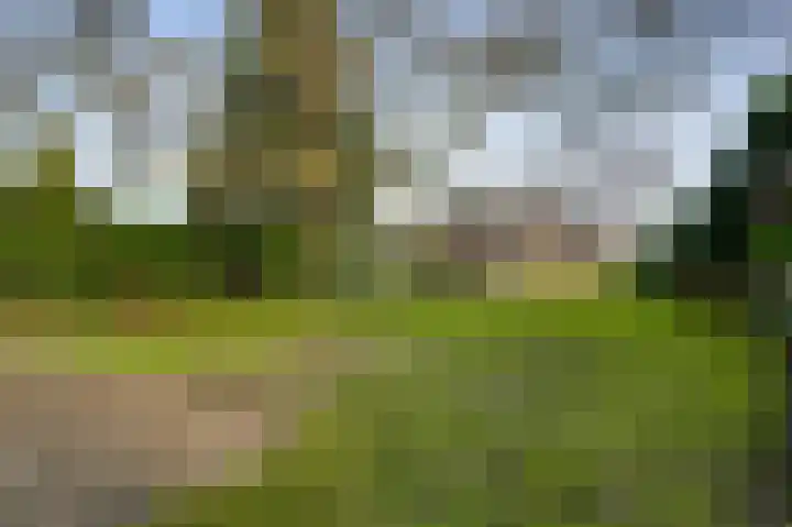Dorpstraat 18 Baexem thumbnail 37