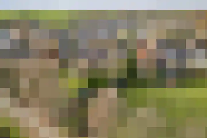 Dorpstraat 18 Baexem thumbnail 41