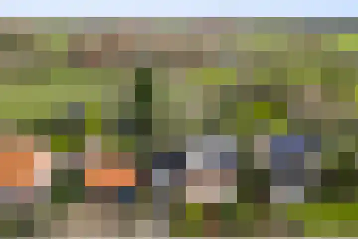 Dorpstraat 18 Baexem thumbnail 48