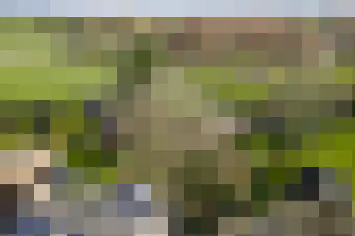Dorpstraat 18 Baexem thumbnail 50