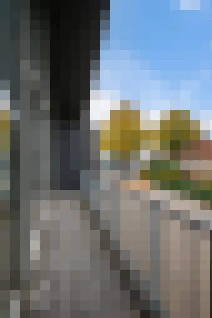 Dorpstraat 18 c Westervoort thumbnail 33