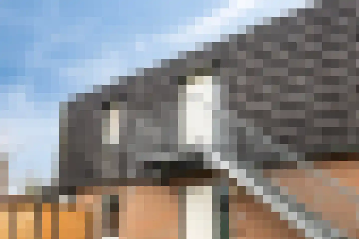 Dorpstraat 18 e Westervoort thumbnail 26