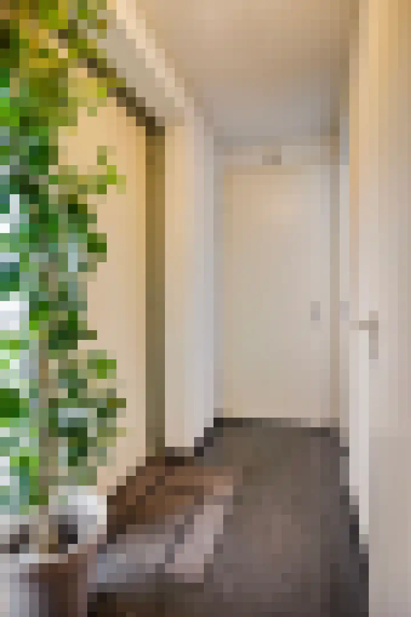 Dorpstraat 18 e Westervoort thumbnail 7