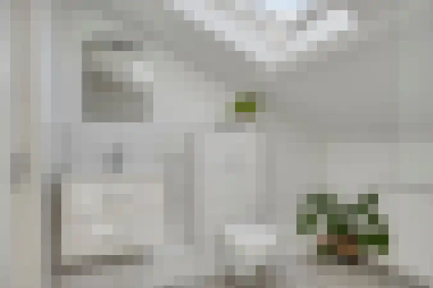 Dorpstraat 19 A3 Ulvenhout thumbnail 15