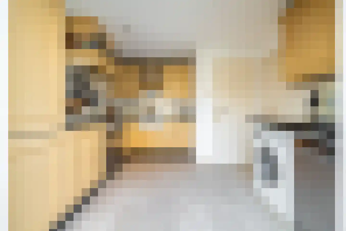 Dorpstraat 19 Ulvenhout thumbnail 12