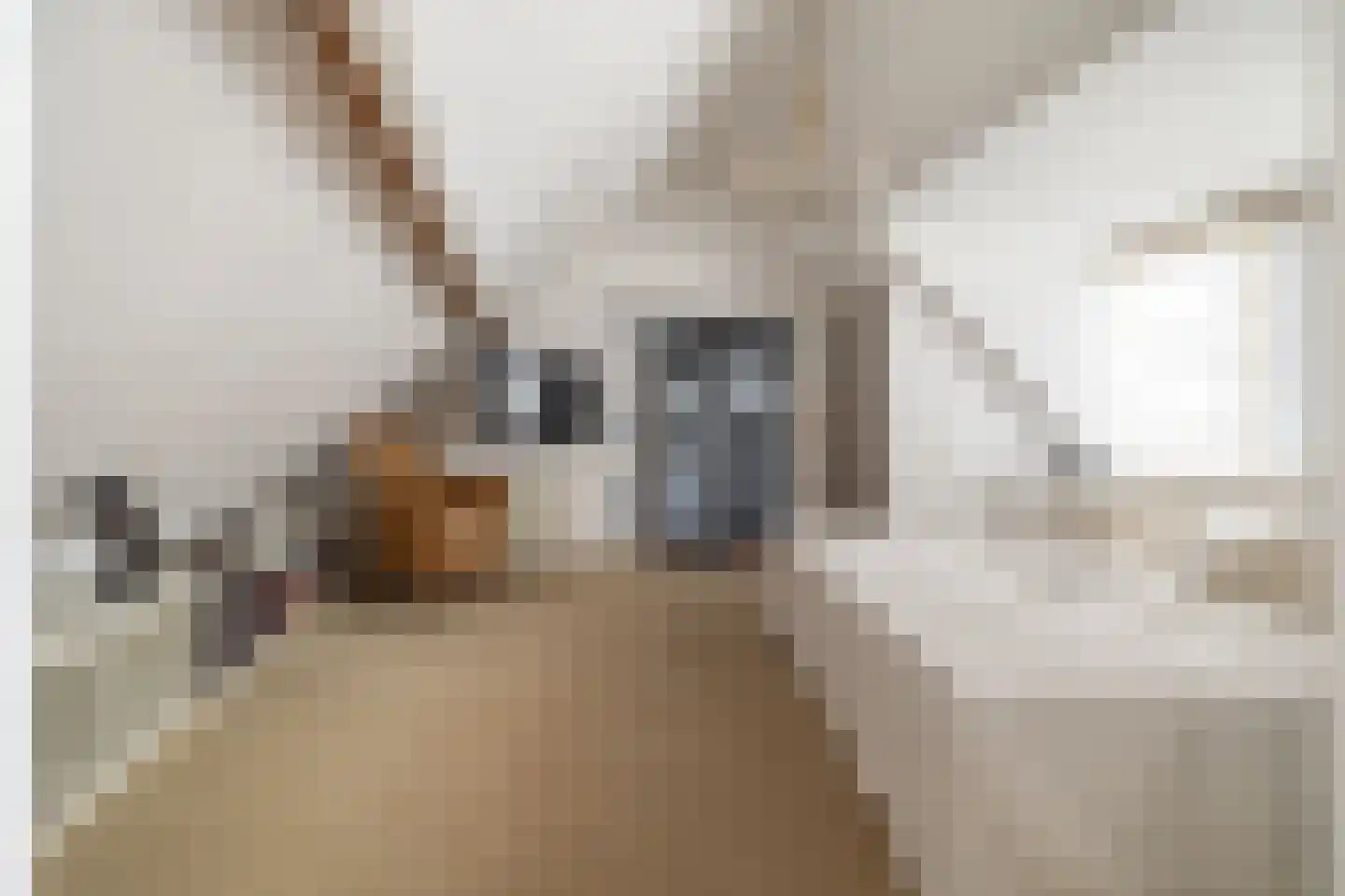 Dorpstraat 19 Ulvenhout thumbnail 21