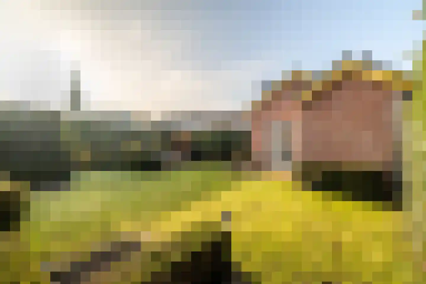 Dorpstraat 19 Ulvenhout thumbnail 37