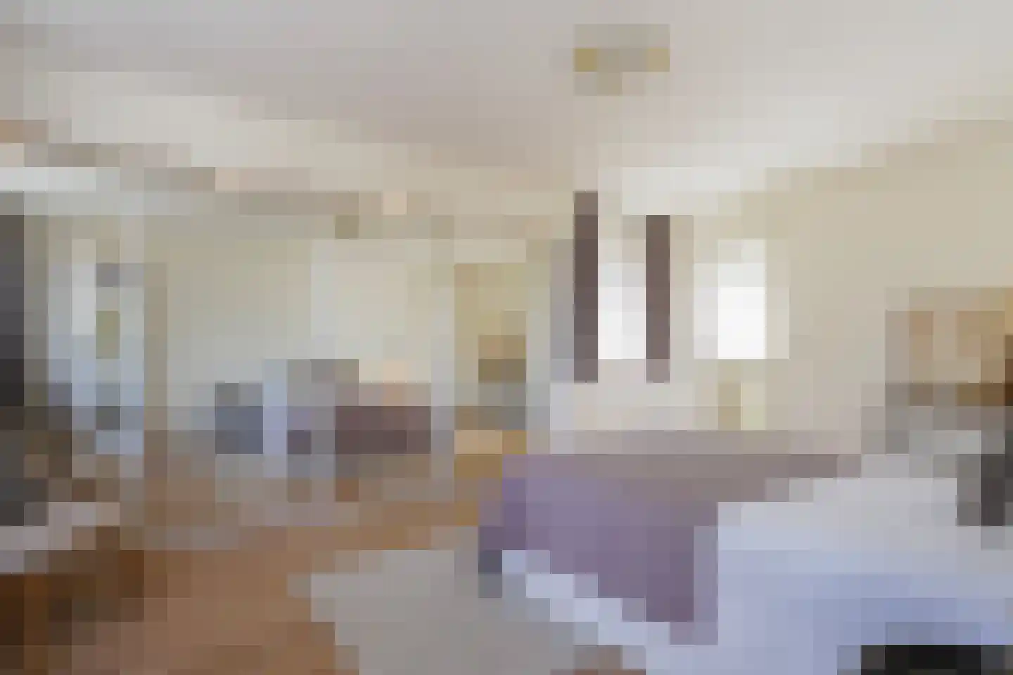 Dorpstraat 2 A Gemonde thumbnail 19