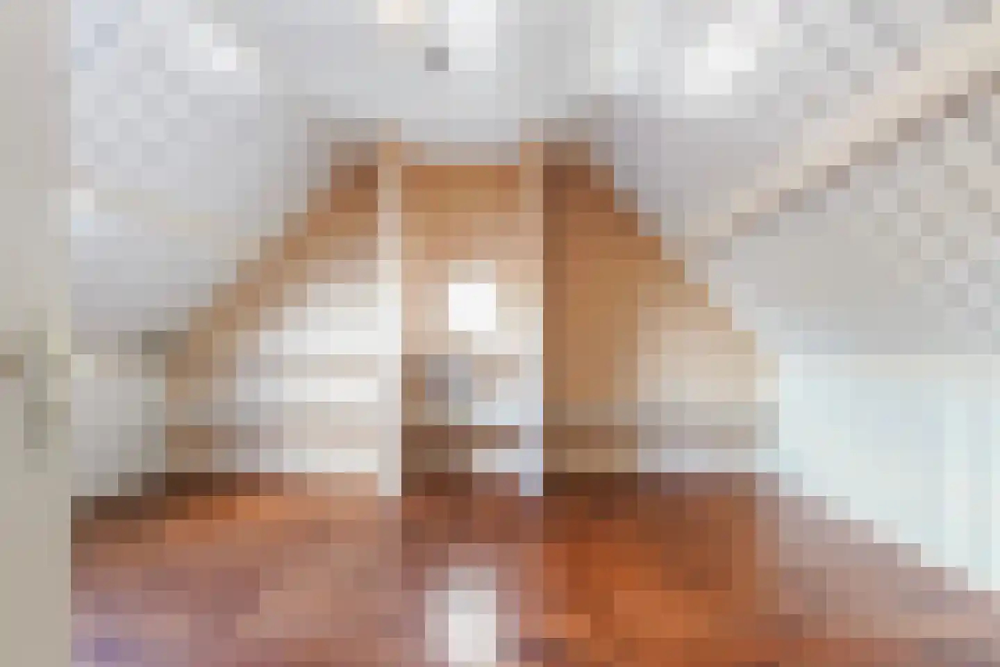 Dorpstraat 2 A Gemonde thumbnail 24