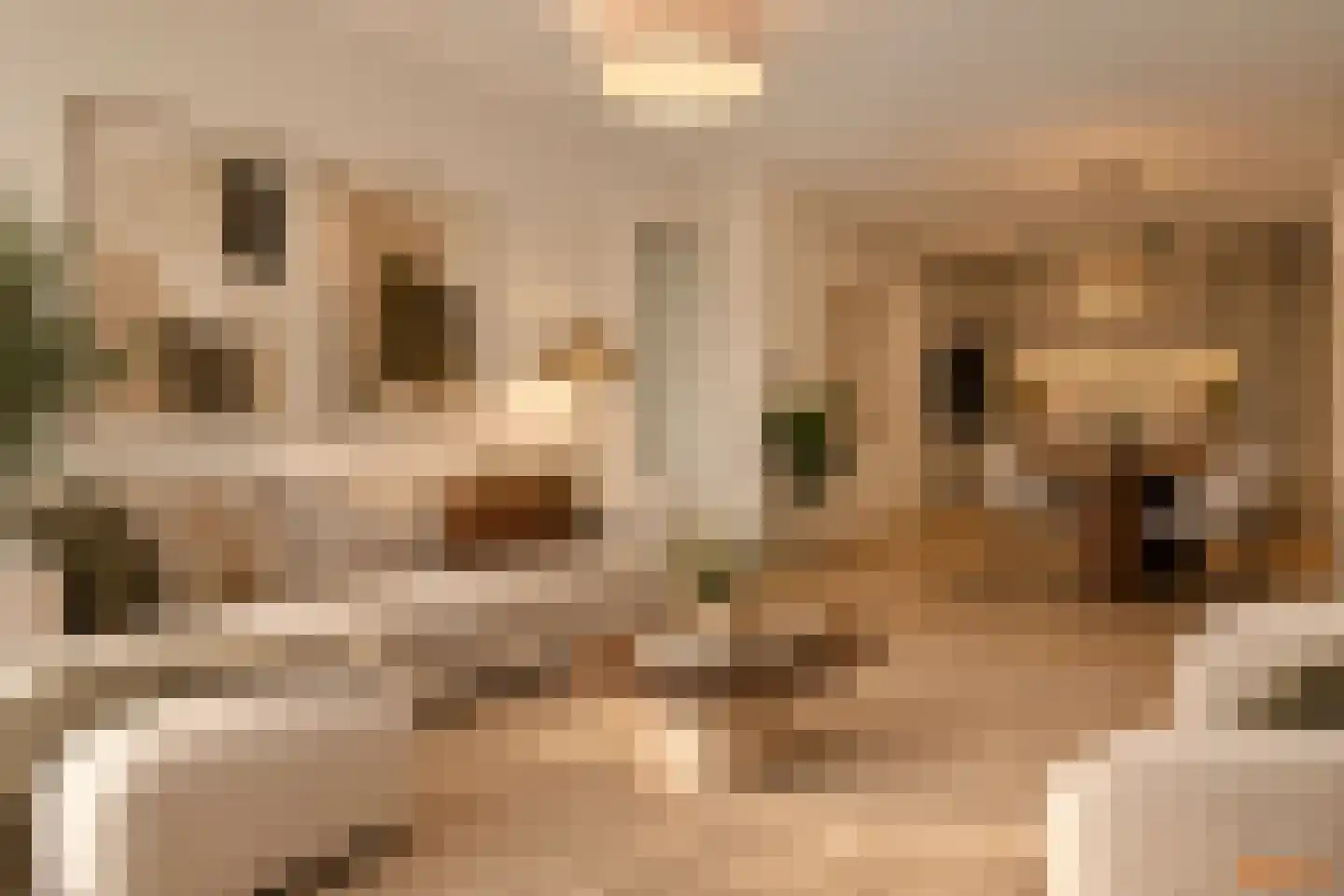 Dorpstraat 2 a Ulestraten thumbnail 11