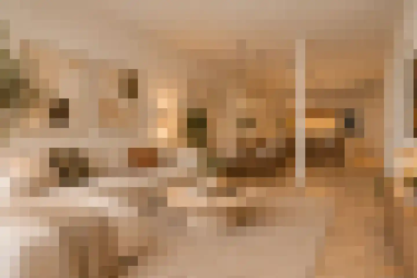 Dorpstraat 2 b Ulestraten thumbnail 10